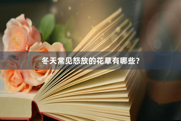 冬天常见怒放的花草有哪些？