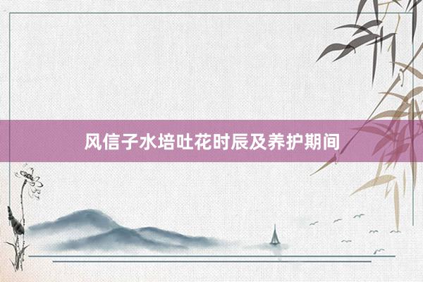 风信子水培吐花时辰及养护期间