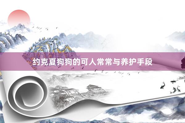 约克夏狗狗的可人常常与养护手段